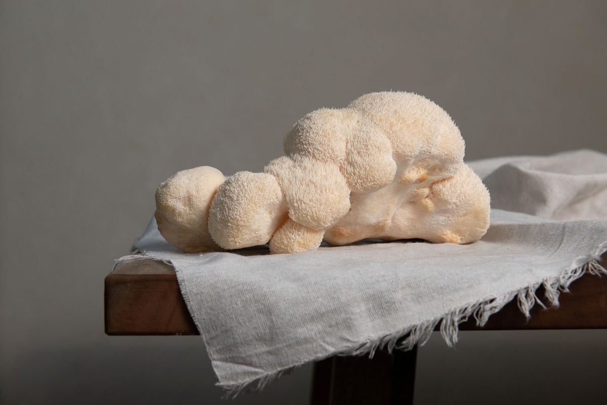 Dried Lion's Mane Mushrooms - Unique Flavor and Long Shelf Life