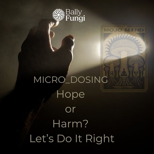 The Responsibility of Suppliers in Microdosing Magic Mushrooms