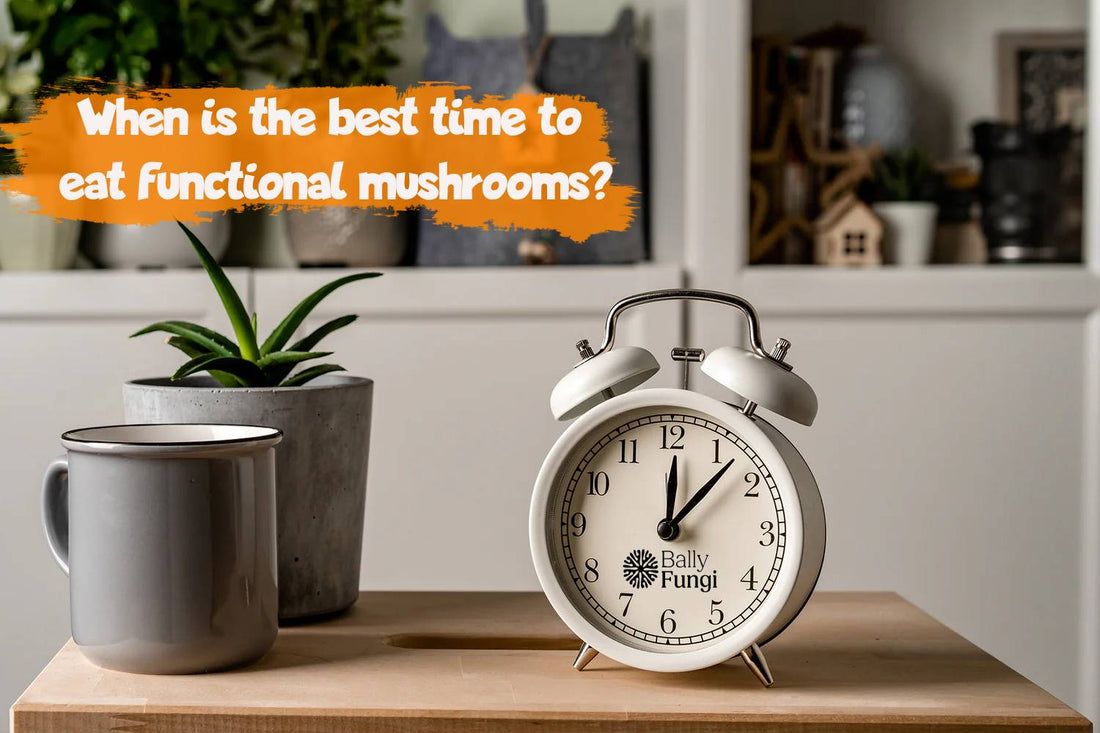 When's the Best Time to Eat Functional Mushrooms?
