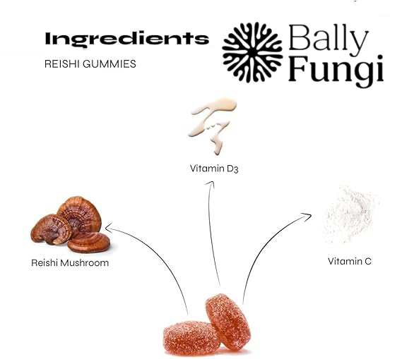 Key ingredients of Bally Fungi Reishi Mushroom Gummies: Reishi Mushroom, Vitamin D3, and Vitamin C. Natural immune and stress support supplement.